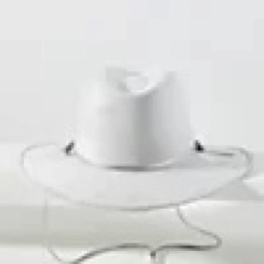 Anthropologie ASN Silver Braided Trimmed Rancher Hat